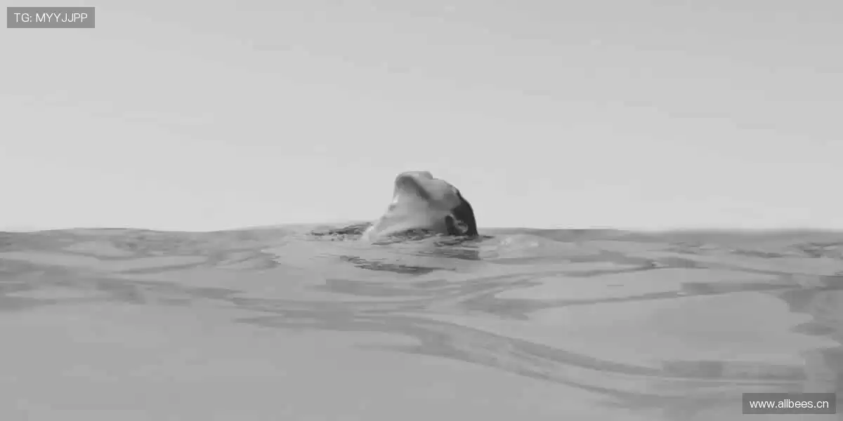 🌍全球赛事,与你同频心跳!🌟